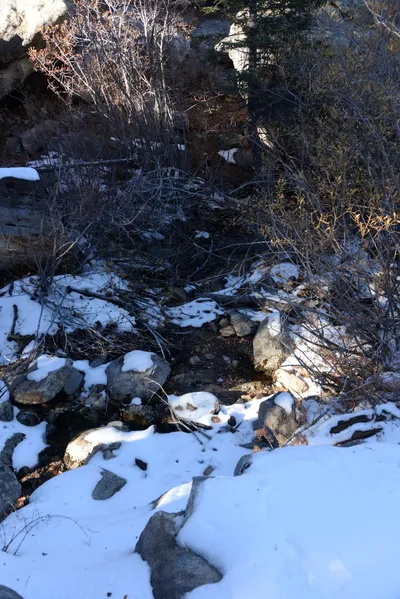 DSC_5204 (Large).JPG